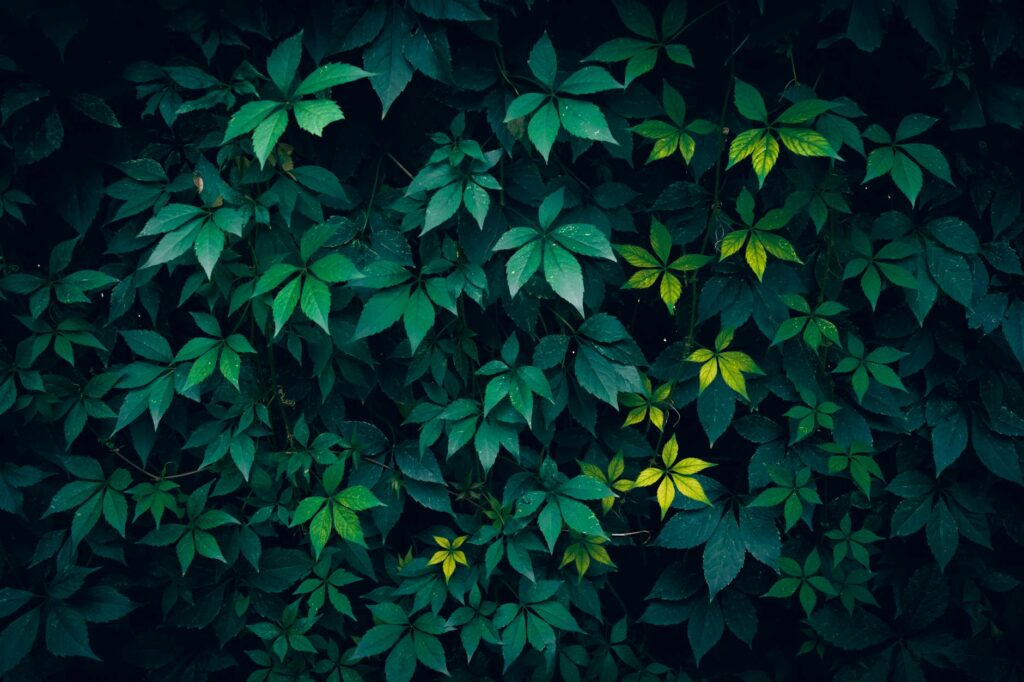 natural green diamond