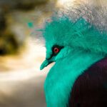 rare colored gemstones